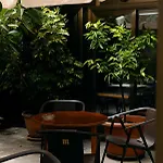 Vintage Mercedes Hotel